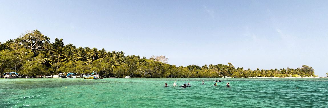 Alleppy Tourism Packages