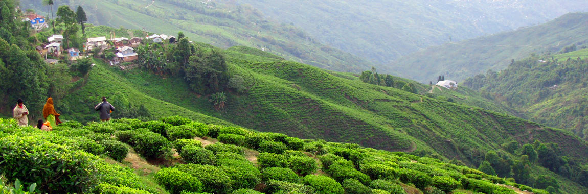 Kerala Backwater Tour Packages